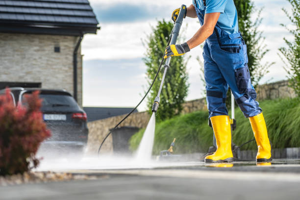 Best Driveway Pressure Washing  in Spring Park, MN